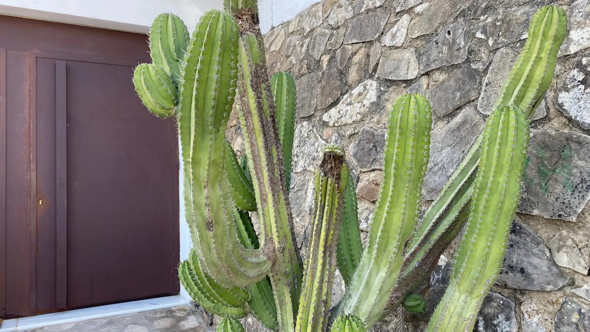 Alojamiento Armenia Patio Apartment Alcala de los Gazules Spain